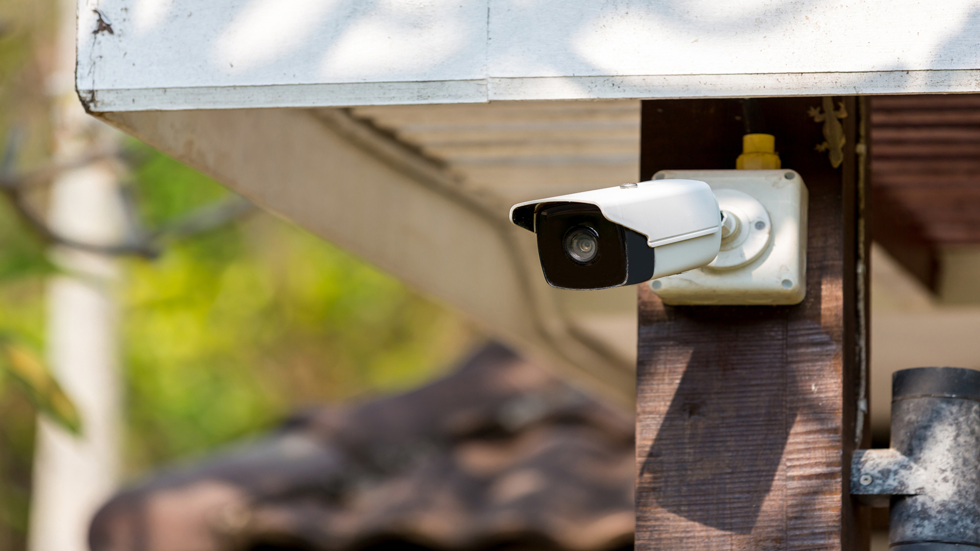 Dome vs. Bullet Security Camera Guide - Bay Alarm