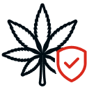 Cannabis